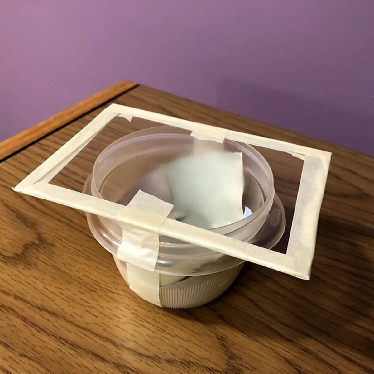 آموزش عکاسی ماکرو از دانه‌های برف+ تصاویر