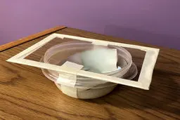 آموزش عکاسی ماکرو از دانه‌های برف+ تصاویر