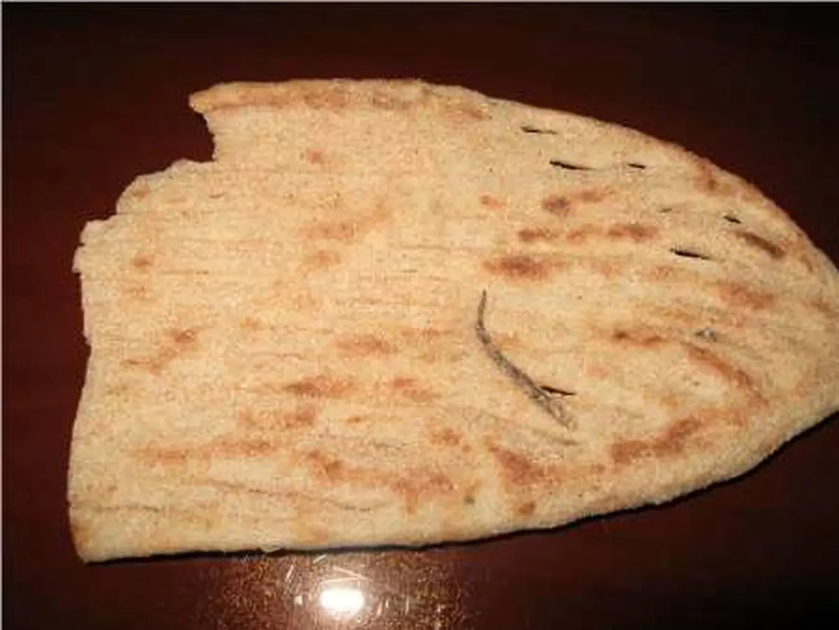 دم مارمولک در نان، نانوایی را تعطیل کرد (+عکس)