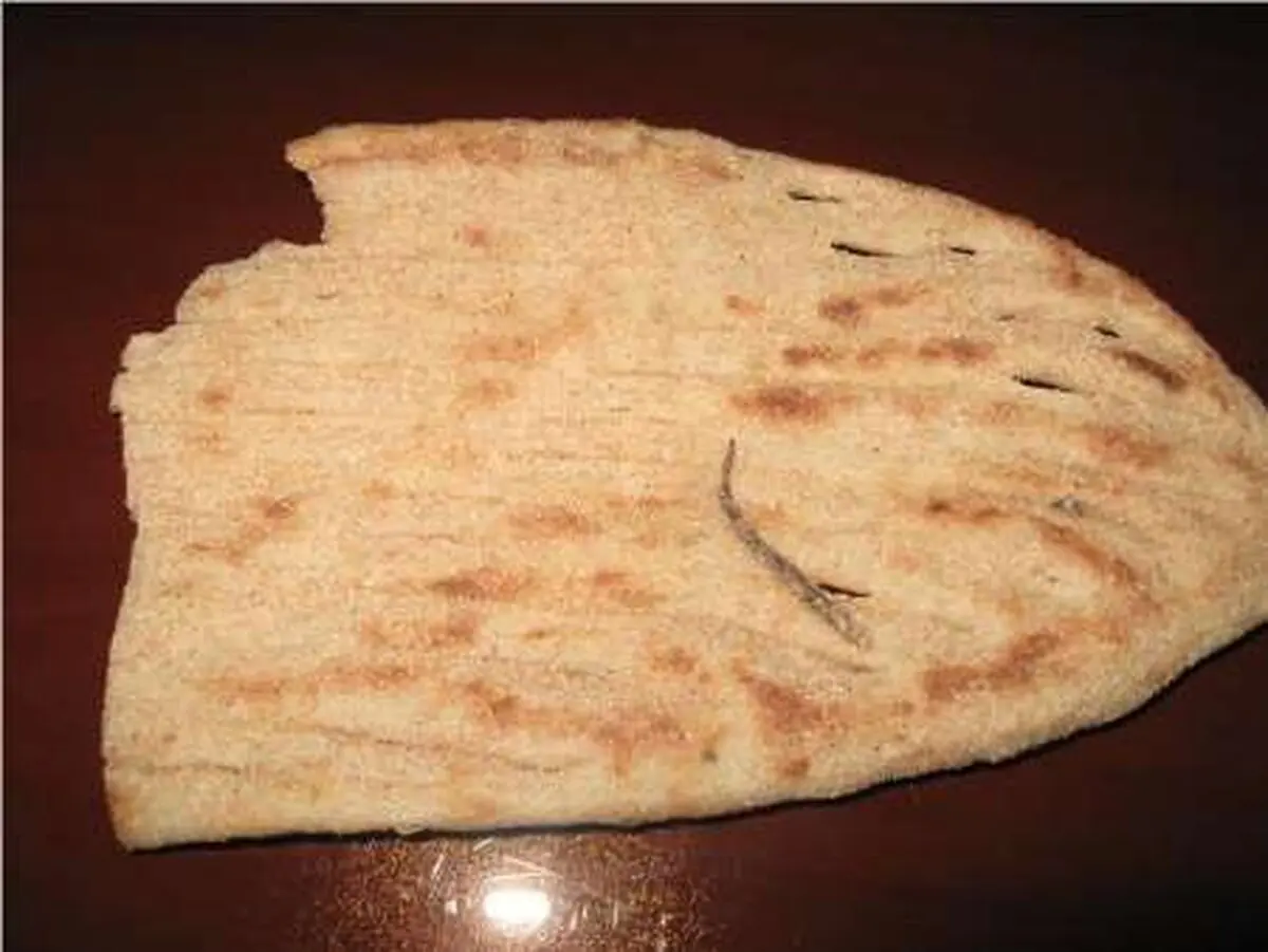 دم مارمولک در نان، نانوایی را تعطیل کرد (+عکس)