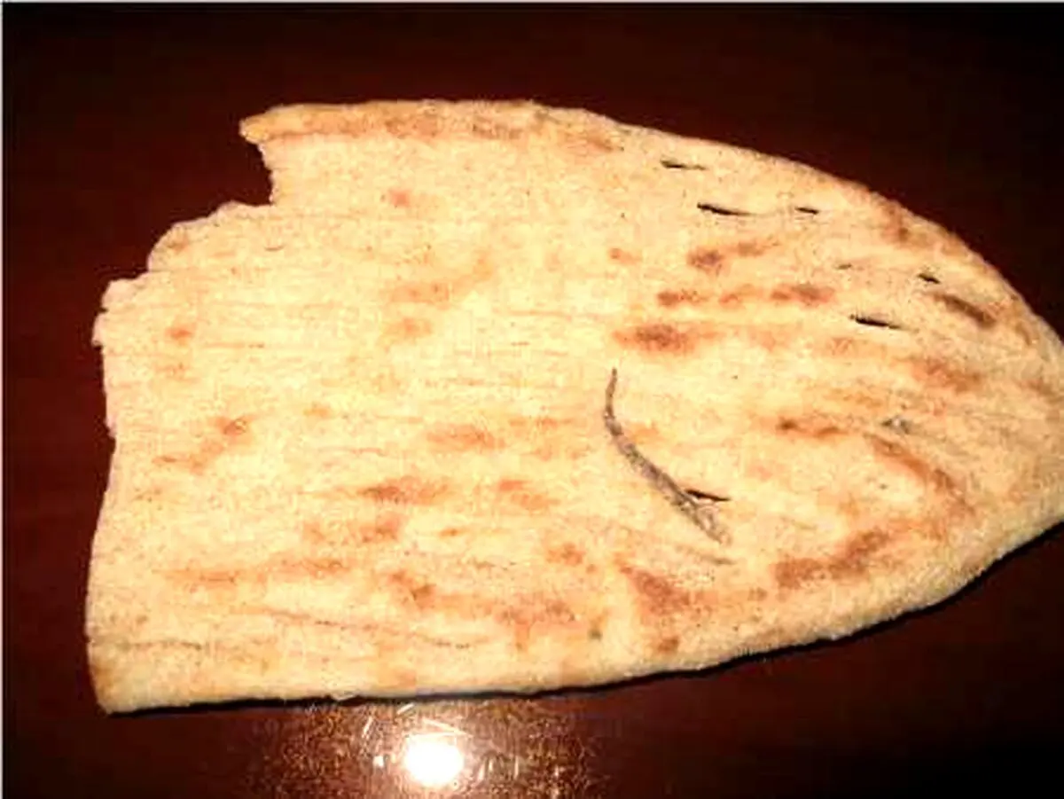 دم مارمولک در نان، نانوایی را تعطیل کرد (+عکس)