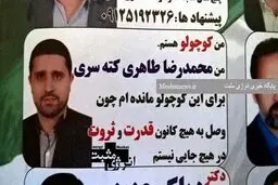 من کوچولو هستم! به من رای دهید/ عکس