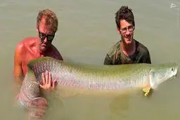 عکس/ بهشت ماهیگیران در تایلند