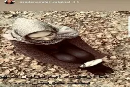 استوری متفاوت از خانم مجری معروف /عکس