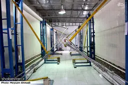 کارگاه بافت فرش عتبات عالیات در کرمان/تصاویر
