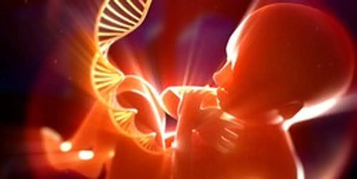 هشدار: مرگ زودرس در کمین نوزادان اصلاح‌ژنتیکی‌شده