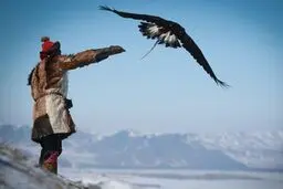 تصاویری از آموزش شکار با عقاب در مغولستان