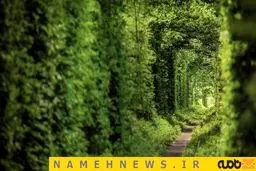 آیا تونل عشق را دیده اید؟/ عکس