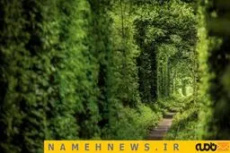 آیا تونل عشق را دیده اید؟/ عکس
