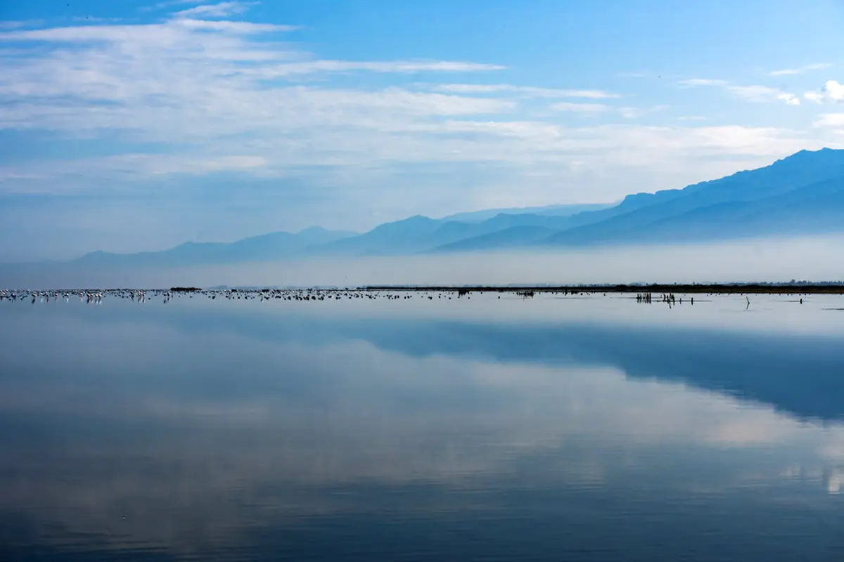 تصاویر / زیبایی های وصف نشدنی میانکاله در پاییز