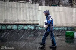 تهران هم بلاخره برف آمد! / تصاویر