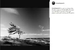 عذرخواهی خواجه‌امیری پس از شوخی با آزاده نامداری/ عکس