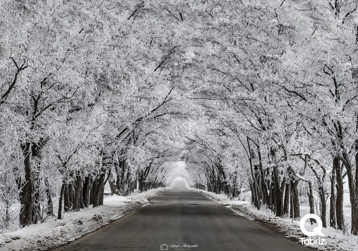 مسیر رویایی و دیدنی جاده سد نوروزلو / عکس