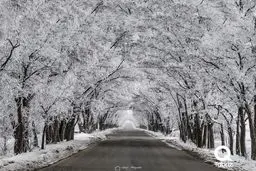 مسیر رویایی و دیدنی جاده سد نوروزلو / عکس