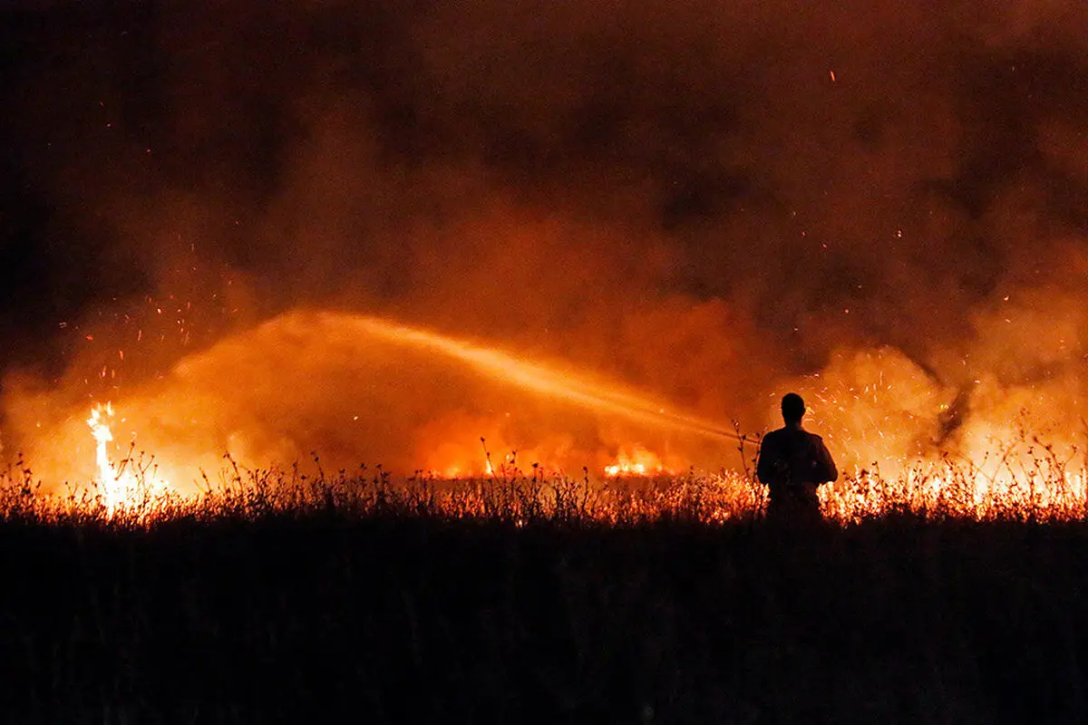 بوستان ولایت طعمه حریق شد! + عکس