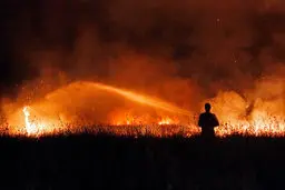 بوستان ولایت طعمه حریق شد! + عکس