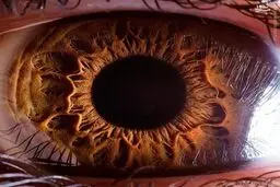 عکس/ نزدیک‌ترین تصاویر از چشم انسان