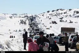 خوشحالی مردم جنوب از بارش برف/ تصاویر