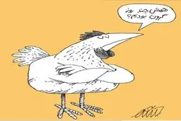مرغ ارزان!/کاریکاتور