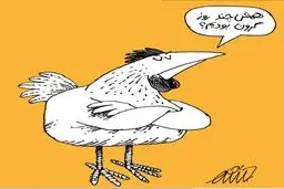 مرغ ارزان!/کاریکاتور