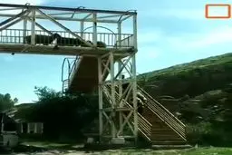 فیلمی جالب از عبور گله گوسفندان از پل عابر پیاده در خوزستان