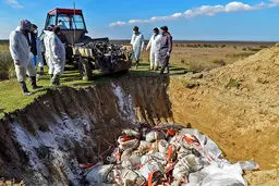 گور دسته جمعی برای دفن میهمانان خزر