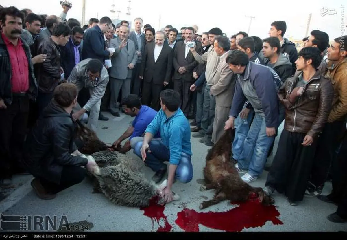 قربانیان سفر رئیس سازمان میراث فرهنگی/عکس