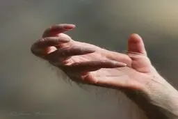 عکسی که نمی‌توانید باور کنید