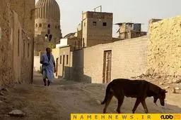 قاهره 2016؛ شهر مرگ+تصاویر