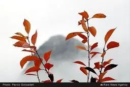 دیدن این تصاویر زیبای پاییزی را از دست ندهید