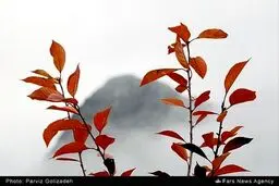 دیدن این تصاویر زیبای پاییزی را از دست ندهید