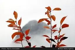 دیدن این تصاویر زیبای پاییزی را از دست ندهید