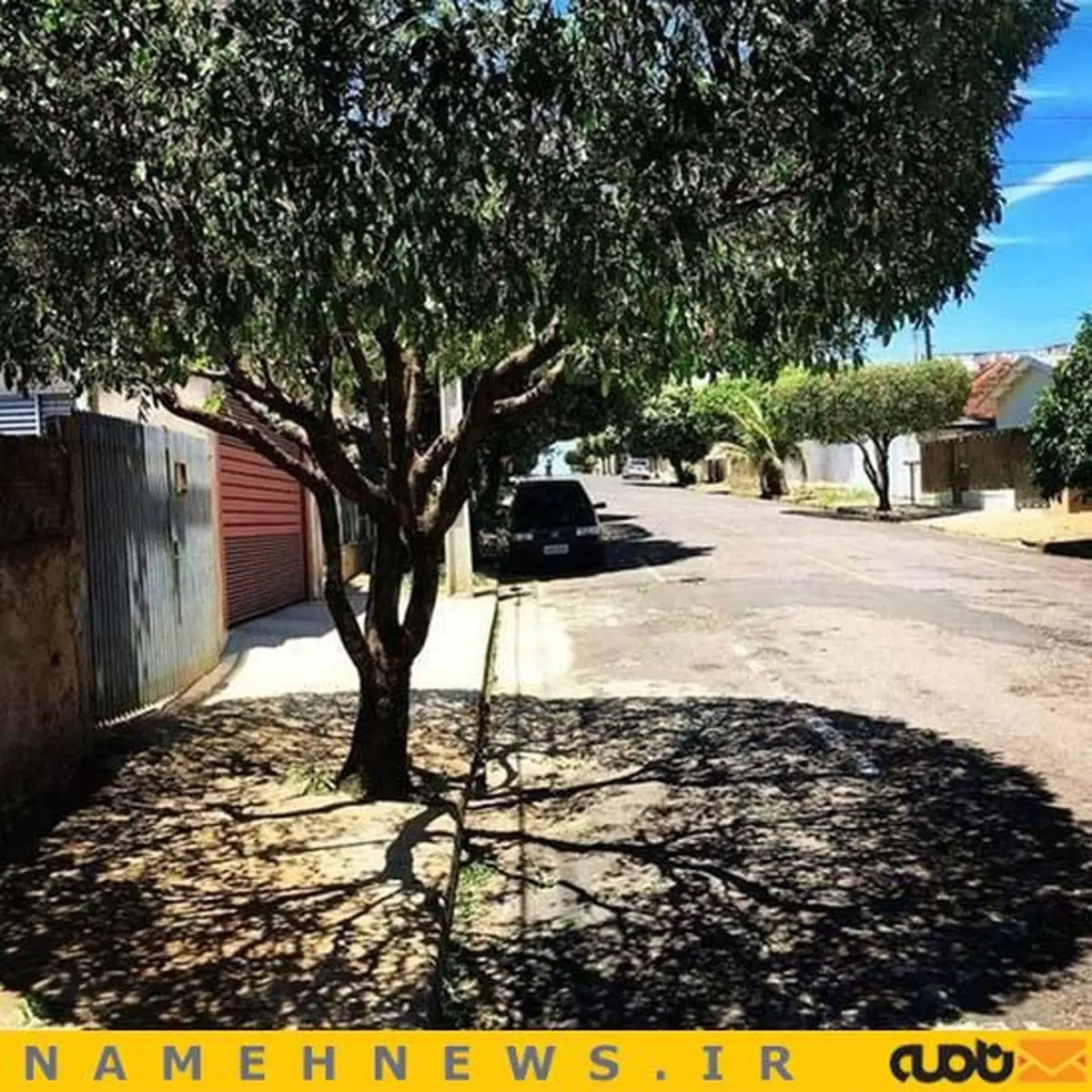 تصاویر دیدنی از سایه ها