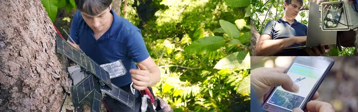 هوش مصنوعی و گوشی‌های قدیمی هوآوی به کمک جنگل‌ها می‌آیند