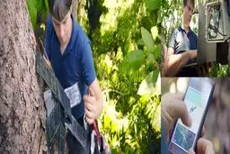 هوش مصنوعی و گوشی‌های قدیمی هوآوی به کمک جنگل‌ها می‌آیند