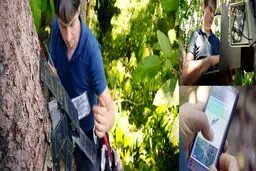 هوش مصنوعی و گوشی‌های قدیمی هوآوی به کمک جنگل‌ها می‌آیند