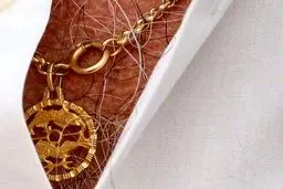 این تصویر یکی از دلایل اصلی انتقادهای وزیر ورزش از کروش است؟