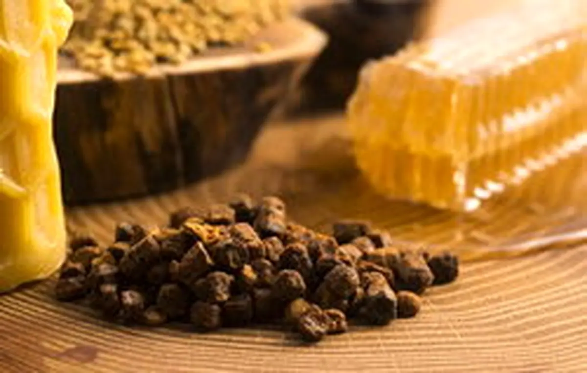 خواص باور نکردنی "بره موم" زنبور عسل!