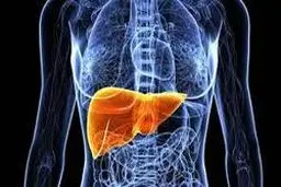 مهمترین علائم تجمع سم در بدن را بشناسید