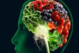 ۱۴ ماده غذایی که برای مغز و حافظه مفید است