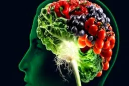 ۱۴ ماده غذایی که برای مغز و حافظه مفید است