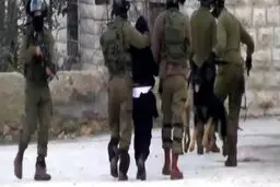 جنایت جدید اسرائیلی ها: نوجوان فلسطینی را جلوی سگ انداختند+عکس