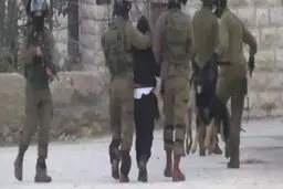 جنایت جدید اسرائیلی ها: نوجوان فلسطینی را جلوی سگ انداختند+عکس