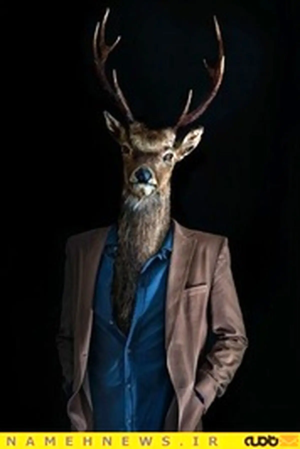 این حیوانات شیک پوش+تصاویر