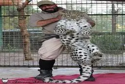 شیرهای باغ وحش را زنده زنده سوزاندند