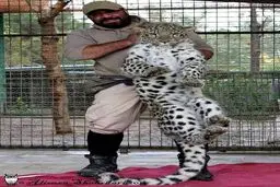 شیرهای باغ وحش را زنده زنده سوزاندند