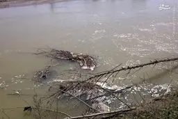 پیدا شدن جسد جوان غرق شده در رودخانه پس از دو هفته/تصاویر