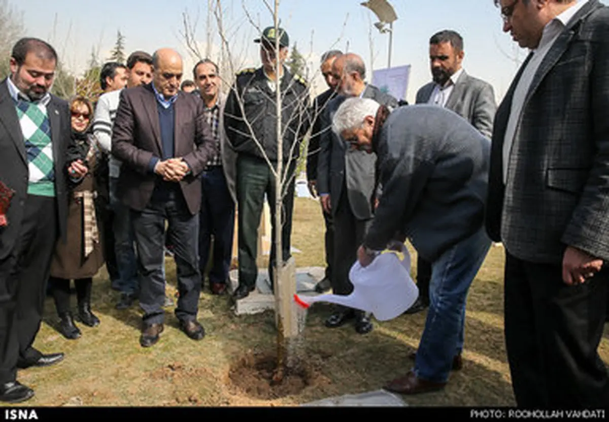 کاشت نهال توسط تعدادی از هنرمندان و اصحاب رسانه در پارک گفتگو /گزارش تصویری