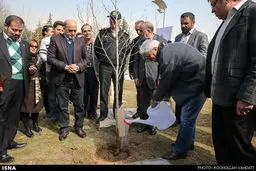 کاشت نهال توسط تعدادی از هنرمندان و اصحاب رسانه در پارک گفتگو /گزارش تصویری