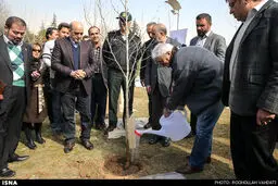 کاشت نهال توسط تعدادی از هنرمندان و اصحاب رسانه در پارک گفتگو /گزارش تصویری